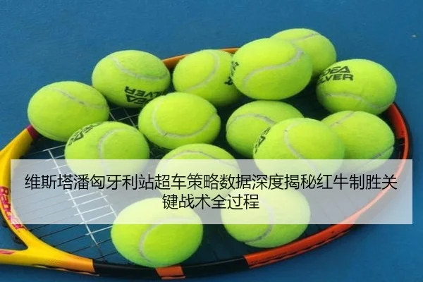 wei-si-ta-pan-xiong-ya-li-zhan-chao-che-ce-lve-shu-ju-shen-du-jie-mi-hong-niu-zhi-sheng-guan-jian-zhan-shu-quan-guo-2-181.jpg
