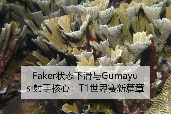 zhuang-tai-xia-hua-yu-she-shou-he-xin-shi-jie-sai-xin-pian-zhang-3-636.jpg