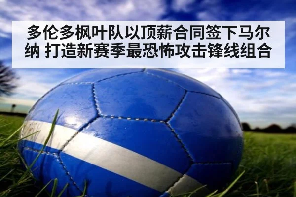 多伦多枫叶队以顶薪合同签下马尔纳 打造新赛季最恐怖攻击锋线组合
